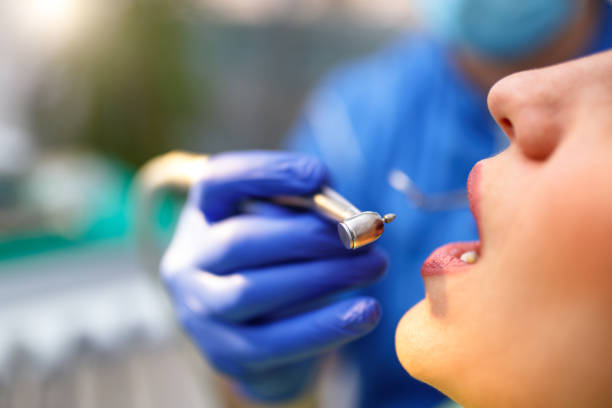  Samoset, FL Holistic Dental Services Pros